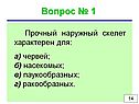 Прочный наружный скелет