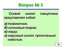 Осевой скелет ланцетника