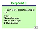 Внутренний скелет