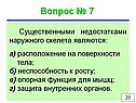 Расположение на поверхности тела