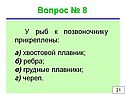 Хвостовой плавник
