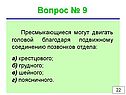Пресмыкающиеся