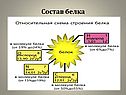 Состав белка