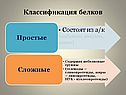 Классификация белков