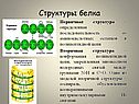 Структуры белка