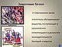 Защитные белки