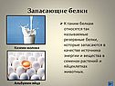 Запасающие белки