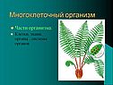 Многоклеточный организм