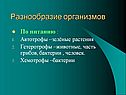 Разнообразие организмов