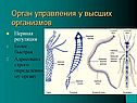 Организм как биосистема