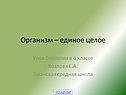 Организм – единое целое