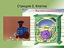 Организм как единое целое