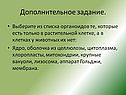 Дополнительное задание