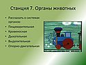 Станция 7. Органы животных