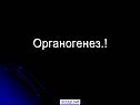 Органогенез