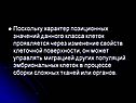 Поскольку характер позиционных значений данного класса клеток