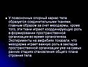 У позвоночных опорный каркас тела образуется соединительными тканями,