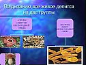 Органы дыхания