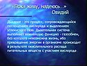 «Пока живу, надеюсь…» Овидий