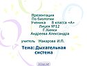 Дыхательная система
