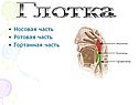 Глотка