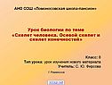 Осевой скелет и скелет конечностей