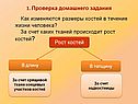 Размеры костей