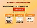 Какие типы костей вам известны