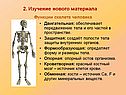 Изучение нового материала