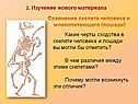 Осевой скелет человека