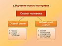 Осевой скелет