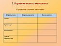 Строение скелета человека