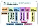 Основные типы экологических взаимодействий