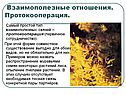 Взаимополезные отношения