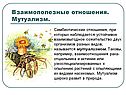 Мутуализм