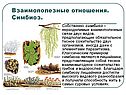 Симбиоз