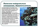 Нейтральные отношения