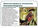 Растения-хищники