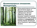Основные типы экологических взаимодействий