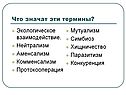 Что значат эти термины