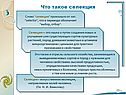 Что такое селекция