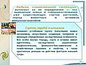 Задачи современной селекции вытекают из ее определения