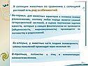 Ряд особенностей