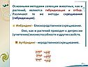 Гибридизация и отбор