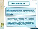 Гибридизация