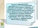 Процесс гибридизации