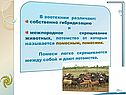В зоотехнии различают