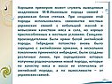 Порода свиней - украинская белая степная