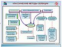 Классические методы селекции