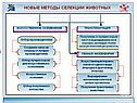 Новые методы селекции животных